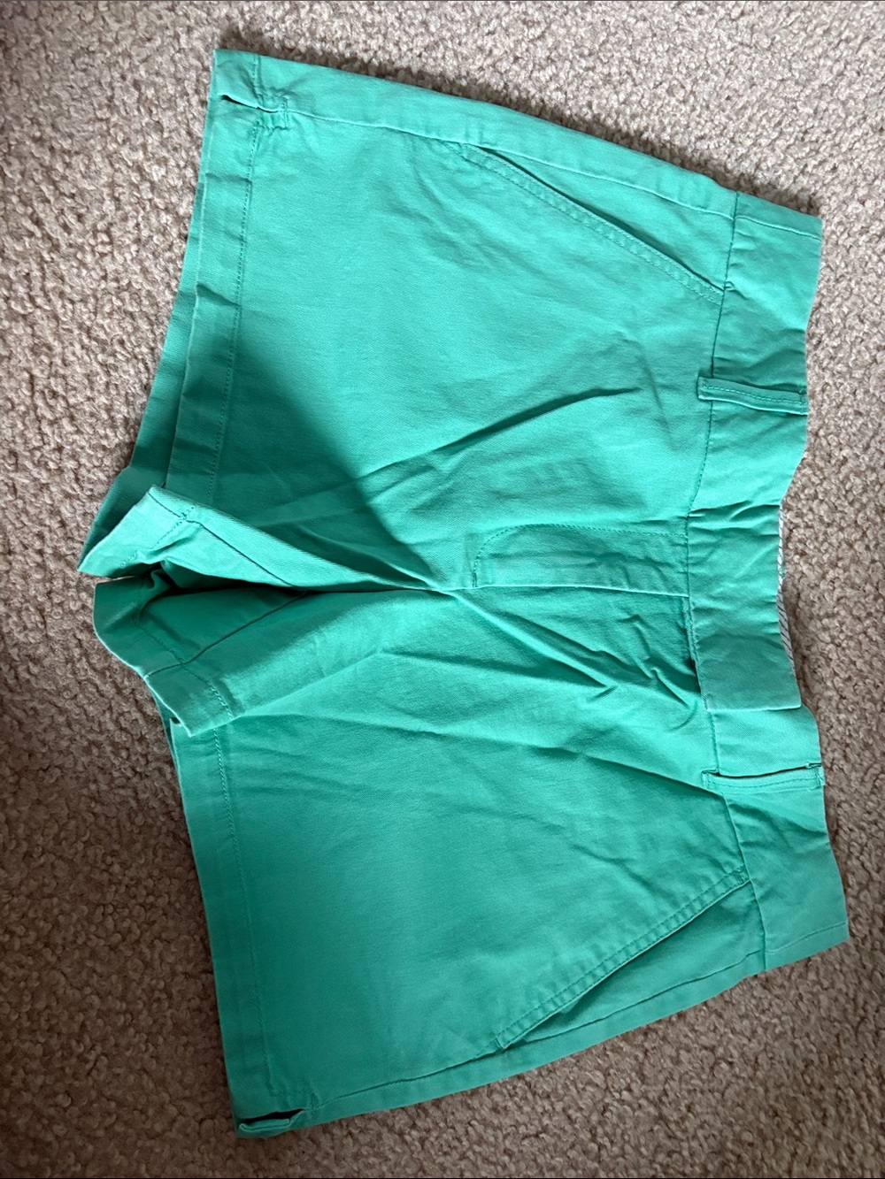 LOFT Women's Green Shorts